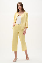 Load image into Gallery viewer, Joseph Ribkoff Foiled Scuba Suede Boxy Jacket with Stud Details
